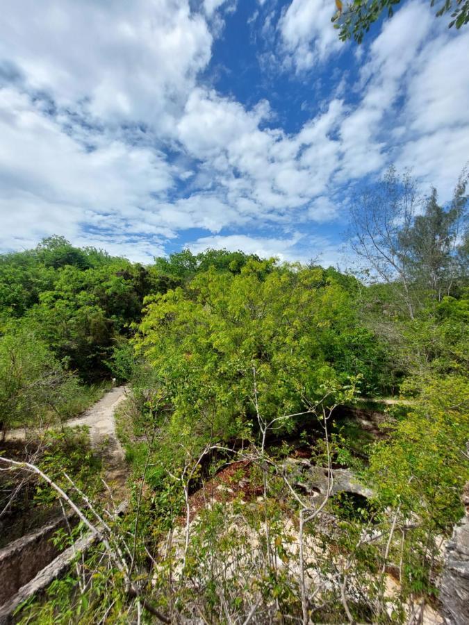 Gosana Eco Nature Hotel Kilifi Bagian luar foto