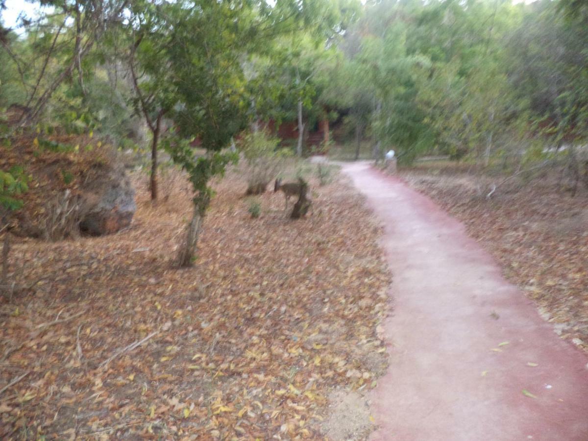 Gosana Eco Nature Hotel Kilifi Bagian luar foto